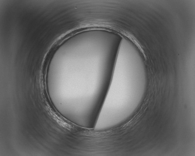 X0000084521072200702230832