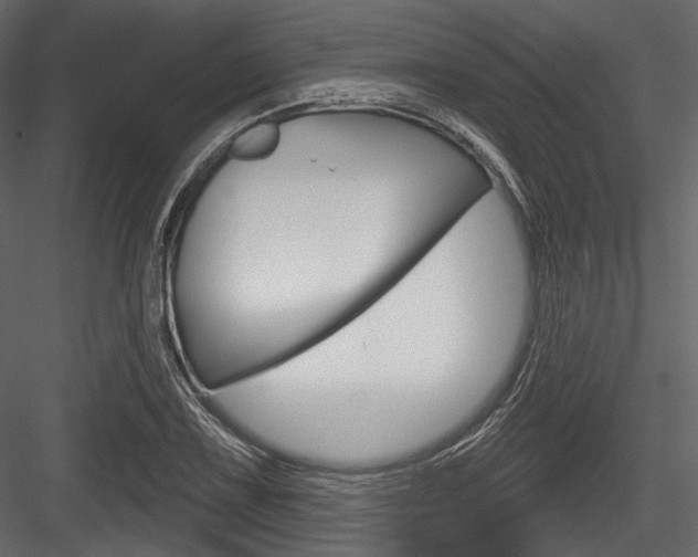 X0000084521075200702230831