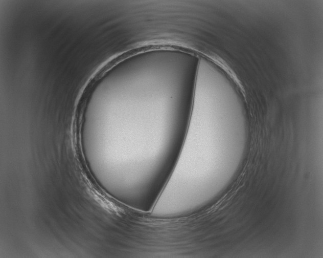 X0000084521076200702230831