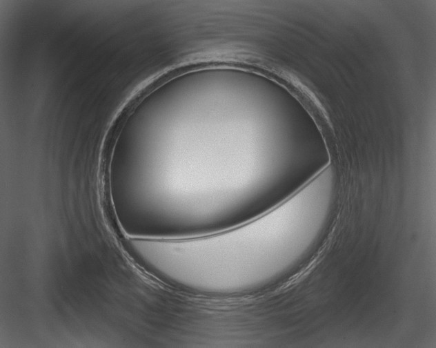 X0000084521077200702230831