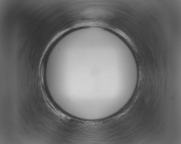 X0000084521078200702230831
