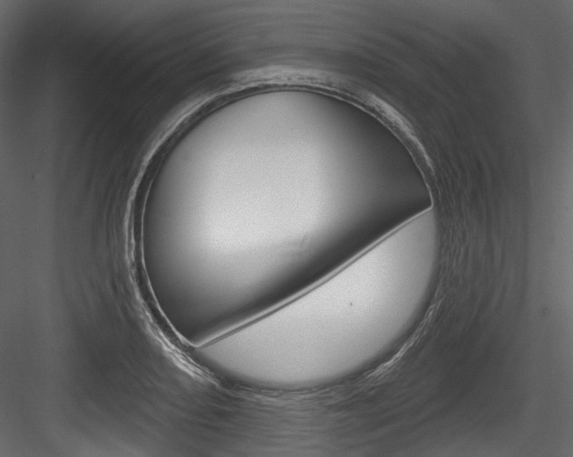 X0000084521082200702230831