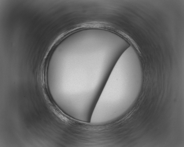 X0000084521083200702230831