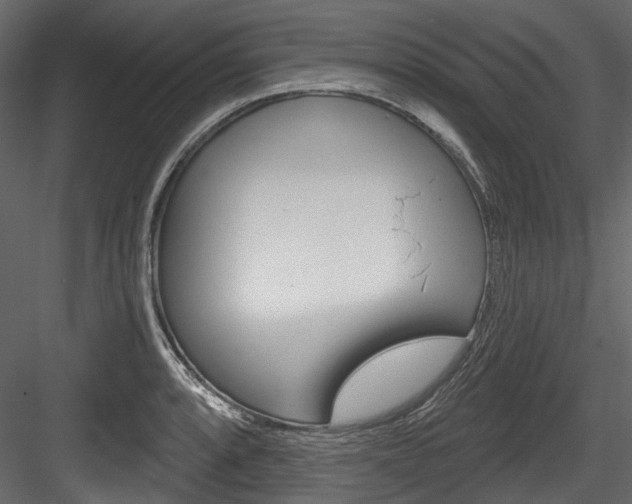 X0000084521088200702230831