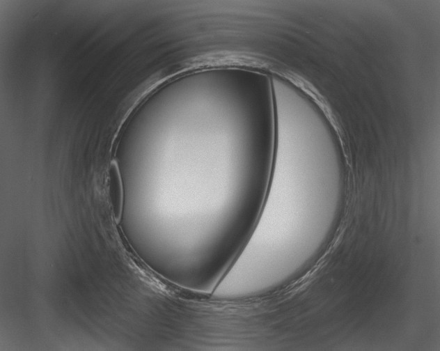 X0000084521089200702230831
