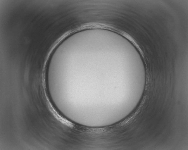 X0000084521090200702230831