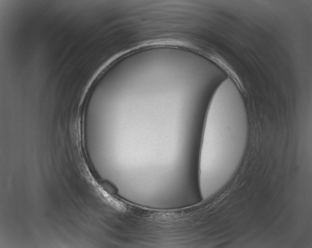 X0000084521092200702230831