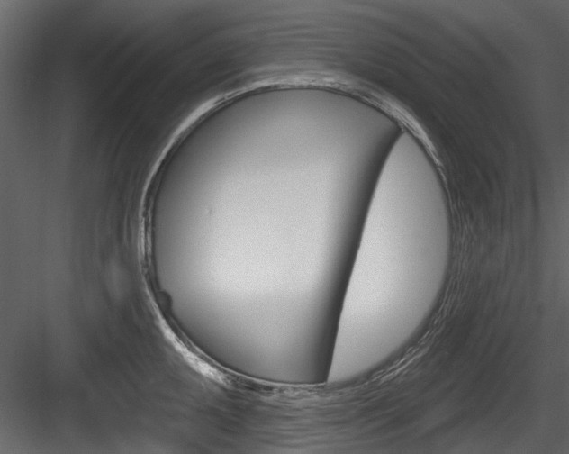 X0000084521095200702230831