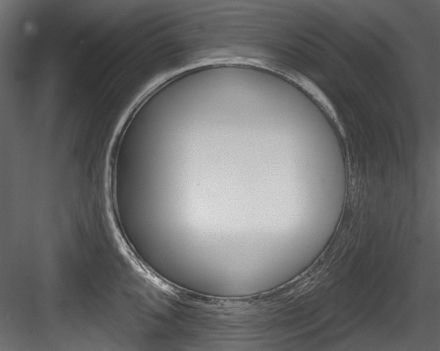 X0000084521096200702230831