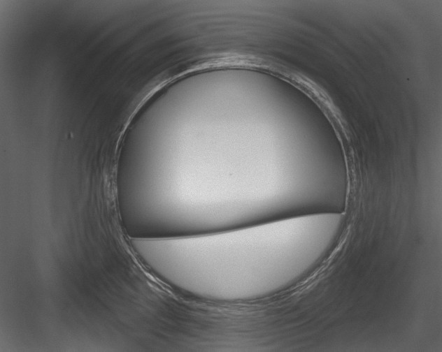 X0000084521097200702230831