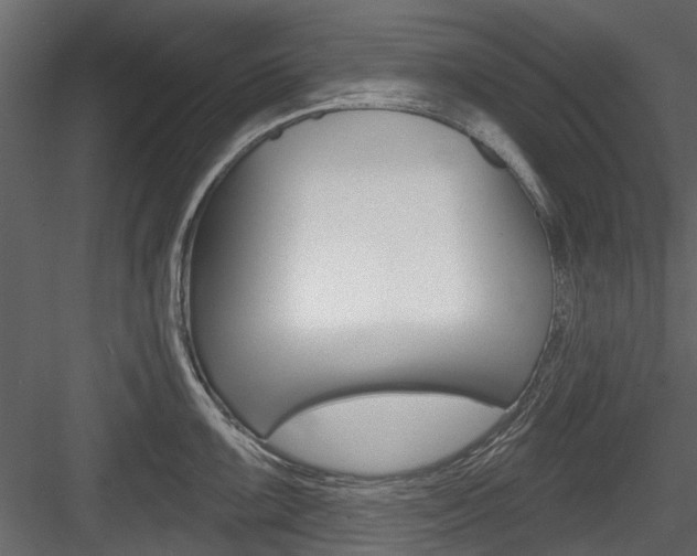 X0000084521099200702230831