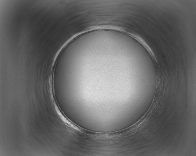 X0000084521100200702230831