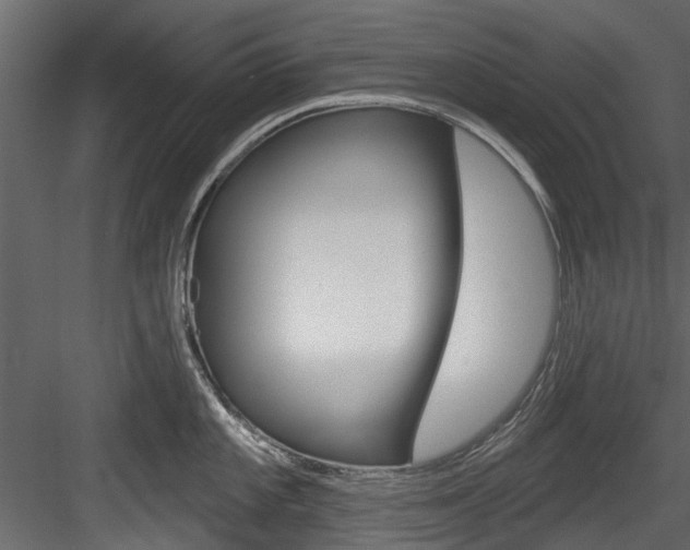 X0000084521101200702230831