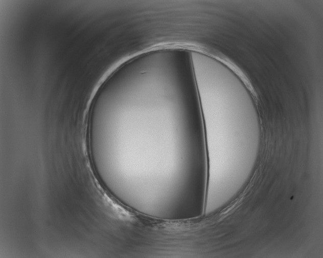 X0000084521102200702230831