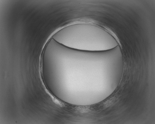X0000084521103200702230831