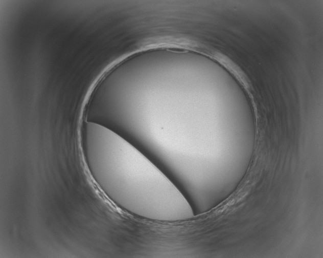 X0000084521104200702230831