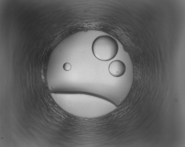 X0000084521106200702230830