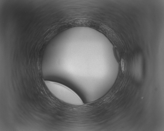 X0000084521107200702230830