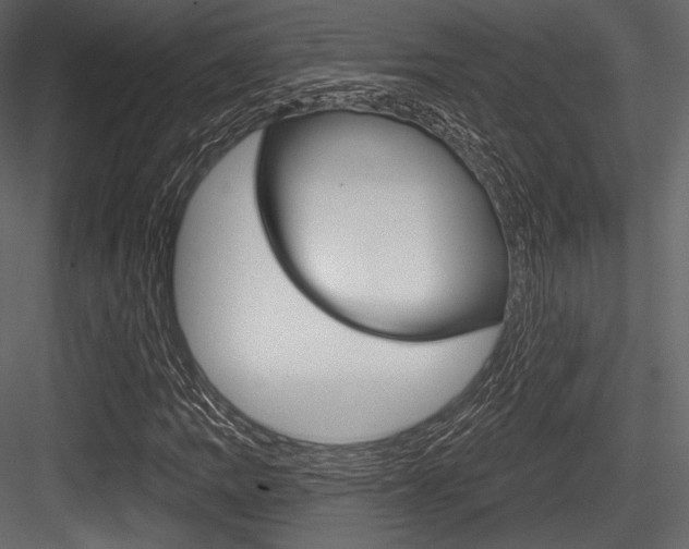 X0000084521109200702230830