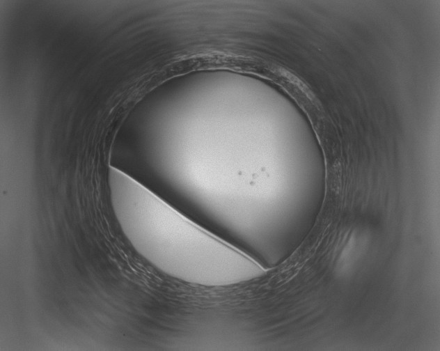 X0000084521111200702230830