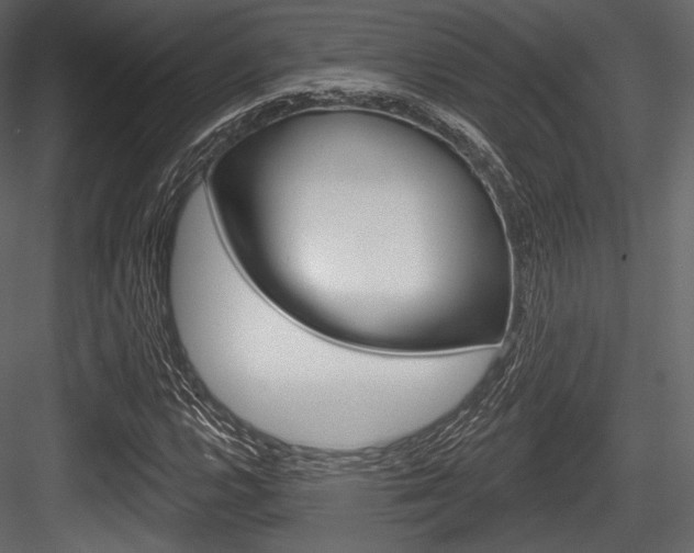 X0000084521112200702230830