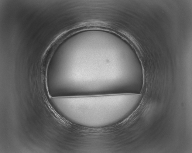 X0000084521115200702230830
