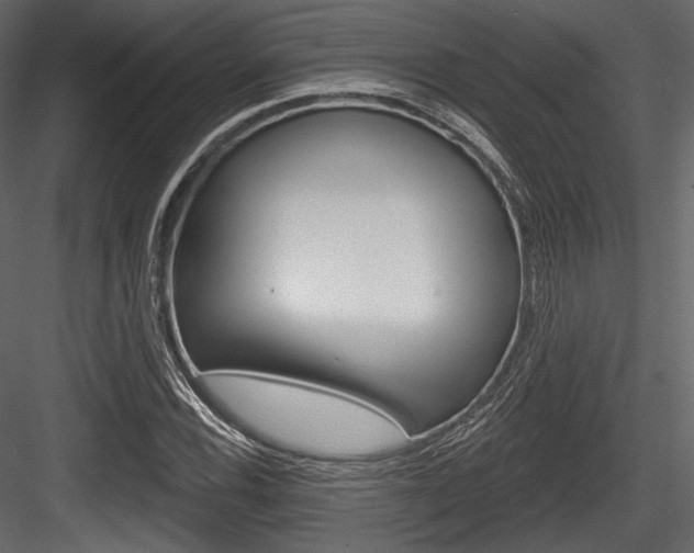 X0000084521116200702230830