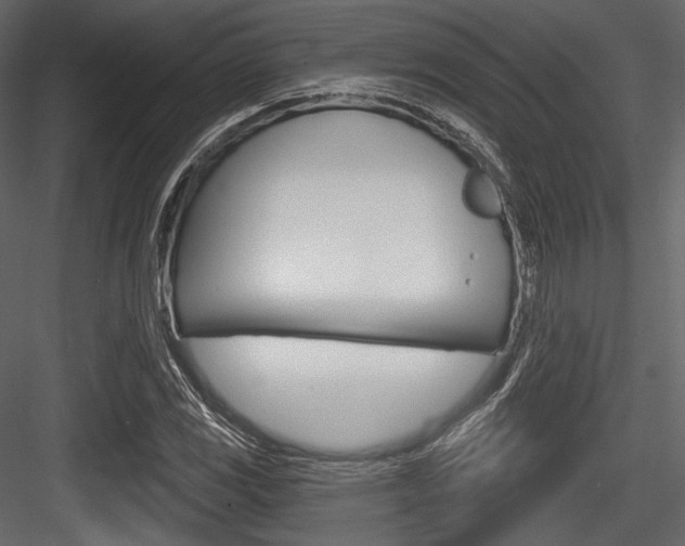 X0000084521117200702230830