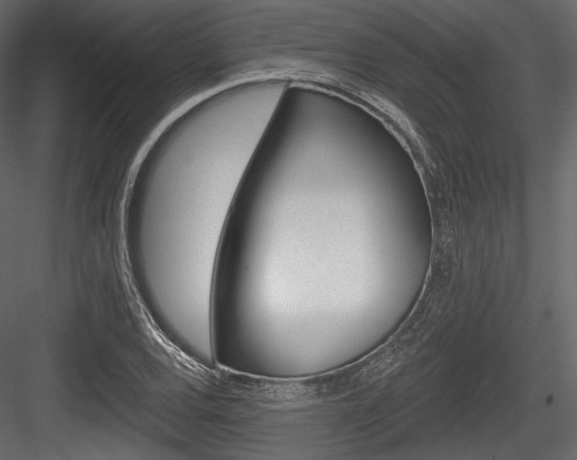 X0000084521120200702230830