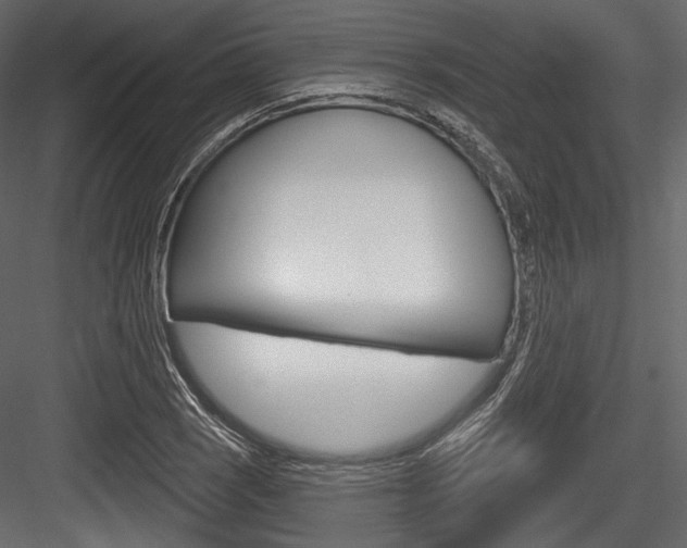 X0000084521121200702230830