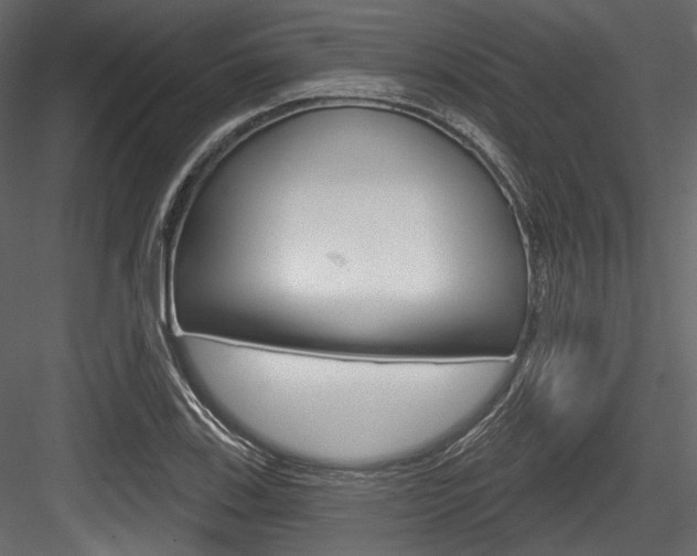 X0000084521123200702230830