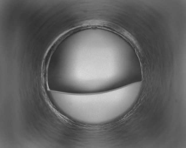 X0000084521124200702230830