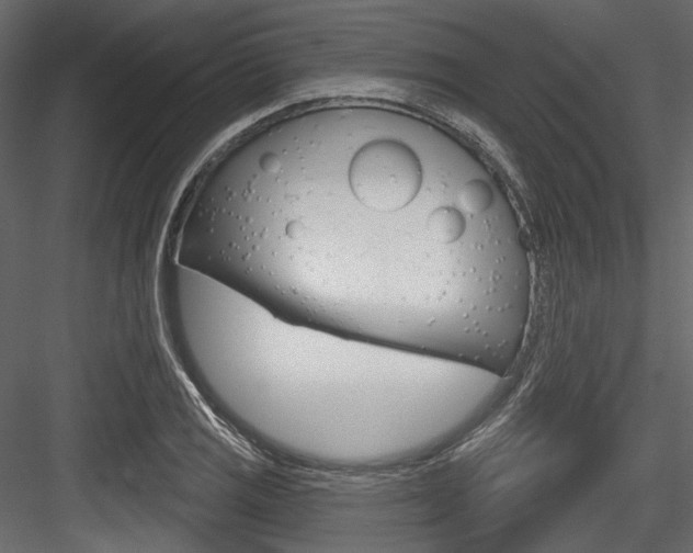 X0000084521125200702230831