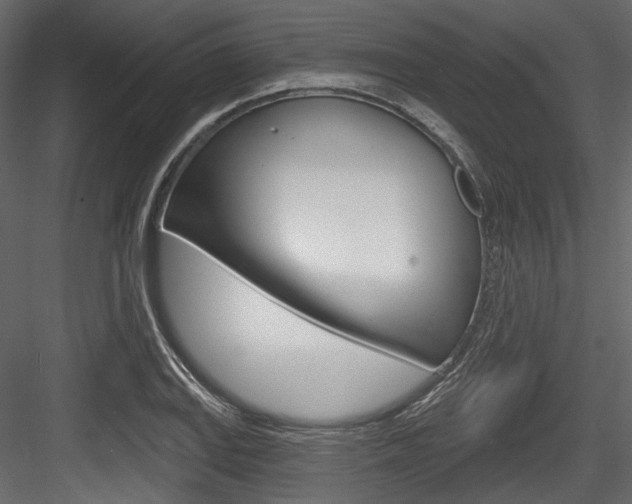 X0000084521127200702230831