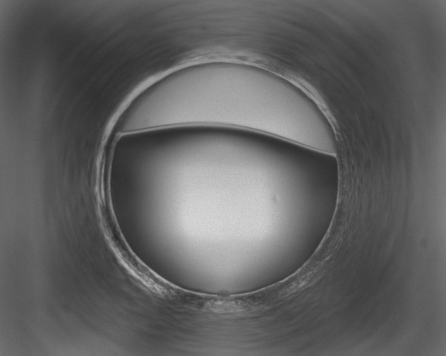 X0000084521128200702230831