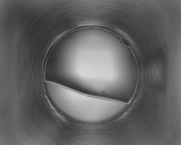 X0000084521129200702230831
