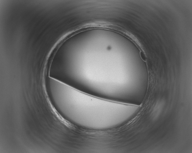 X0000084521131200702230831