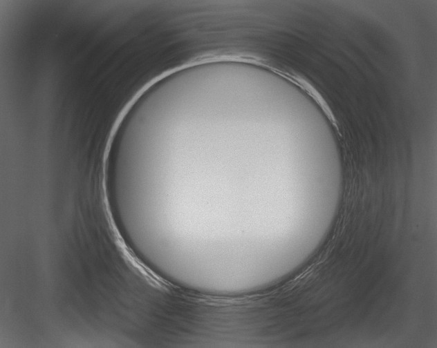 X0000084521132200702230831