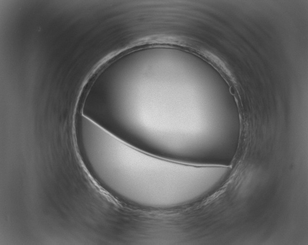 X0000084521133200702230831