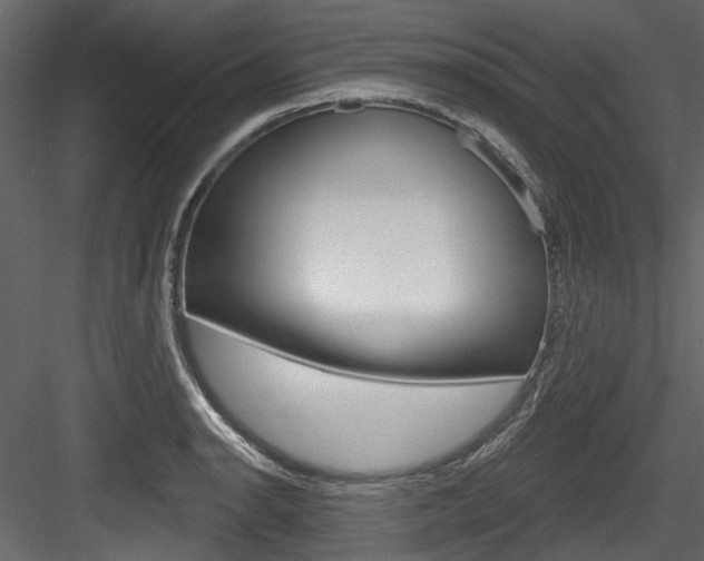 X0000084521134200702230831