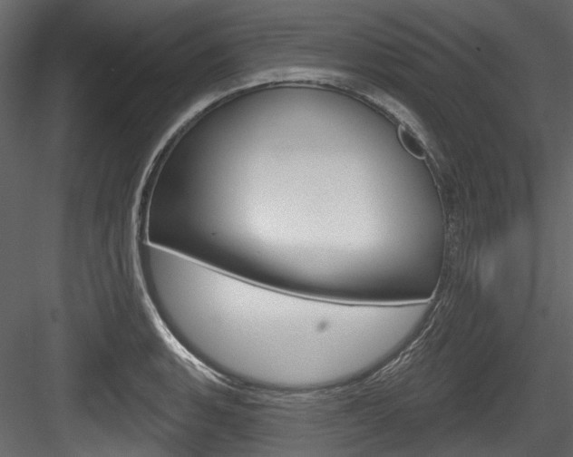X0000084521135200702230831