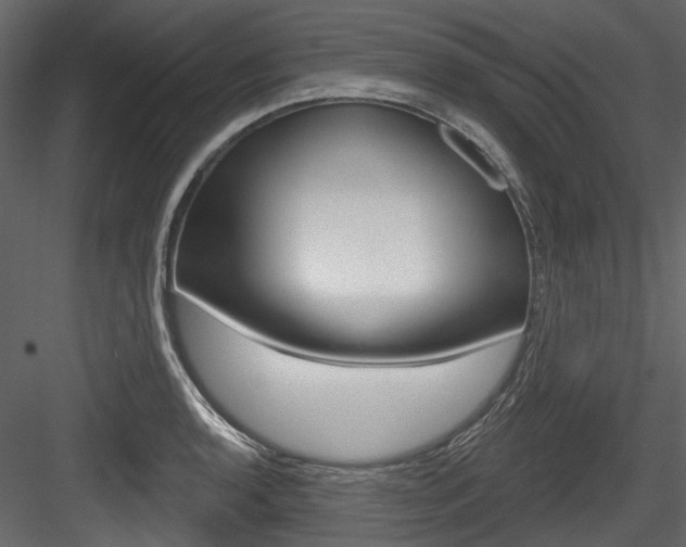 X0000084521136200702230831