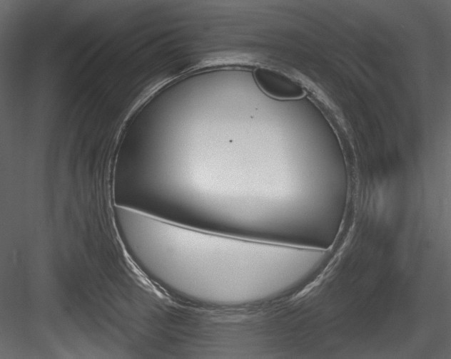 X0000084521137200702230831