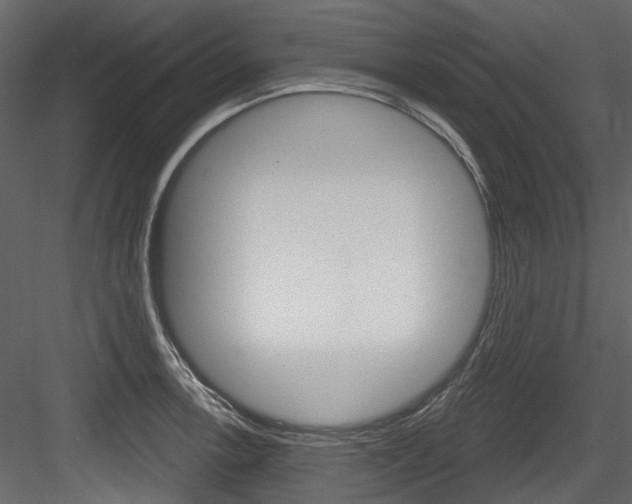 X0000084521138200702230831