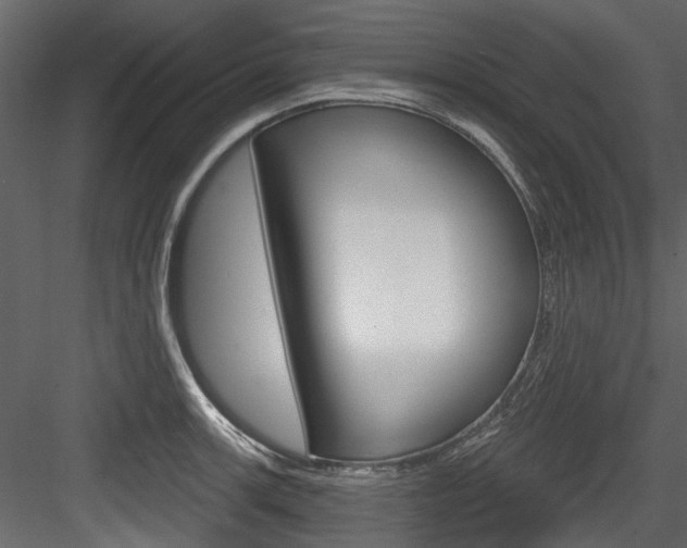 X0000084521139200702230831