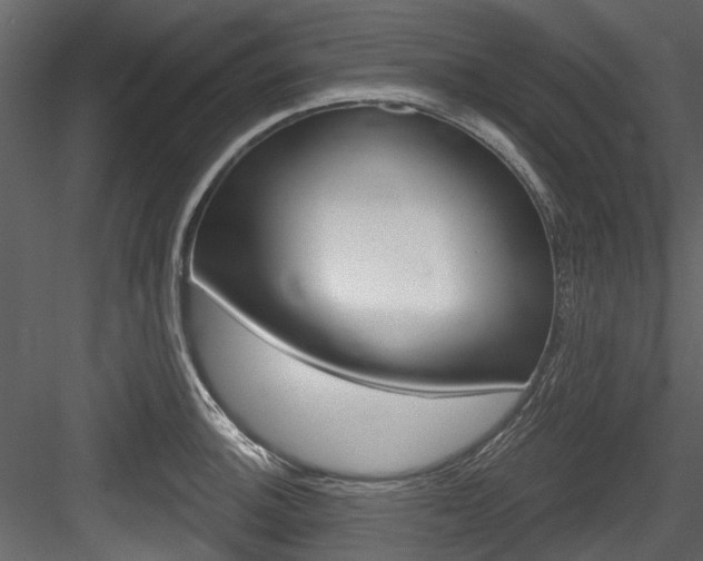 X0000084521140200702230831