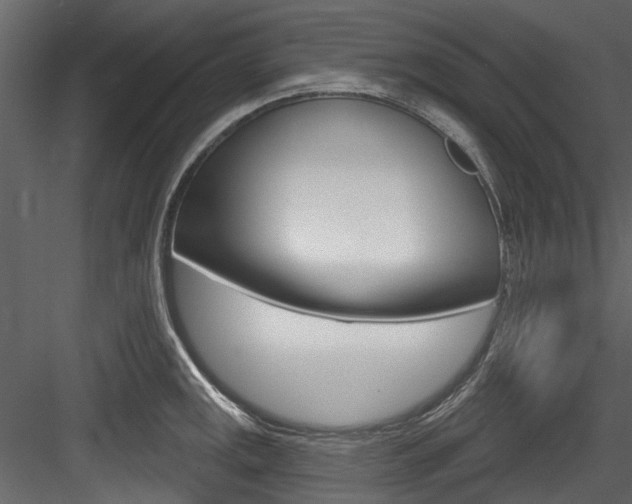 X0000084521141200702230831