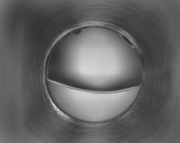 X0000084521143200702230831