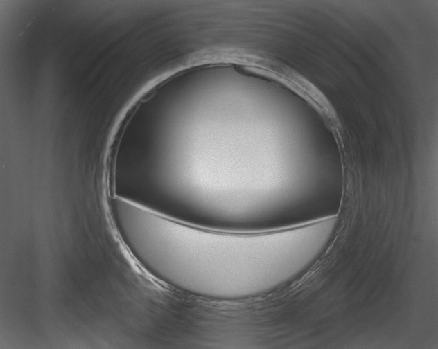 X0000084521144200702230831