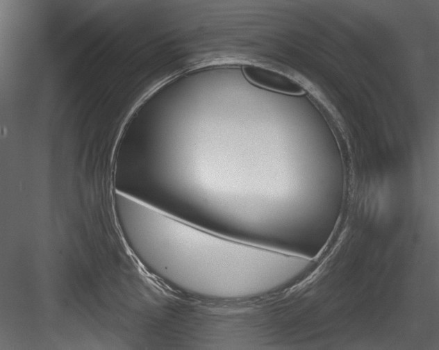 X0000084521145200702230831